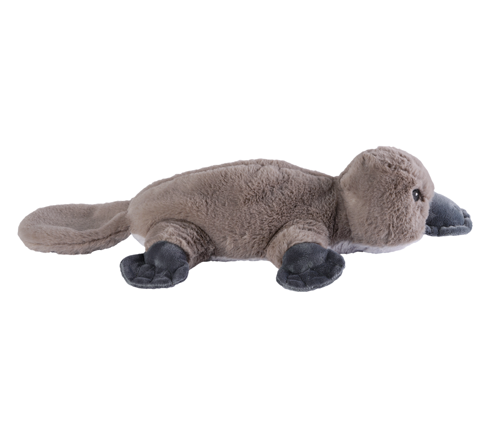 Australien Platipus Schnabeltier Stofftier  kuschellig weich  38 cm 